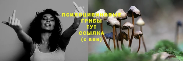 apvp Армянск