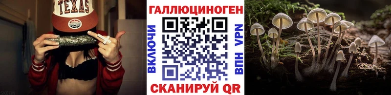 Галлюциногенные грибы Psilocybine cubensis  Стародуб 