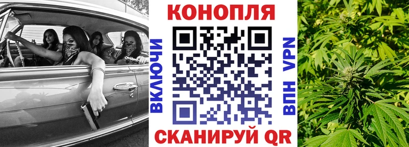 Каннабис тримм  наркота  Стародуб 